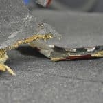 REPARATION FIBRE CARBONE STRUCTURE SANDWICH